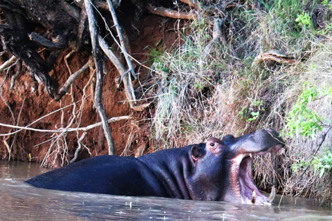 Pilanesberg Nature Safari: Guided Wildlife Tour Morning Safari Experience