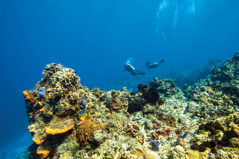 Diving Budva: 2-Tank Scuba Diving Tour for Certified Divers