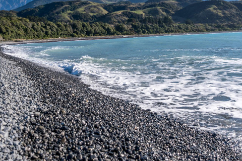 From Christchurch: Kaikōura Day Tour with Kayak