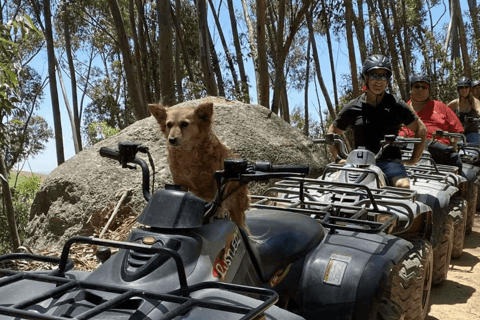 Vrede en Lust Wine Estate: 30m Quad Bike Trail