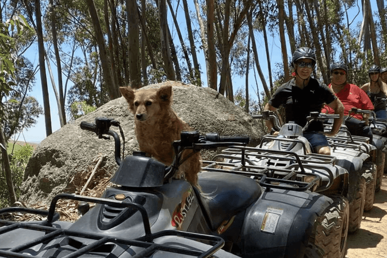 Vrede en Lust Wine Estate: 30m Quad Bike Trail