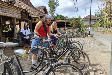 Yogyakarta : circuit authentique à vélo, déjeuner et escapade à la cascade