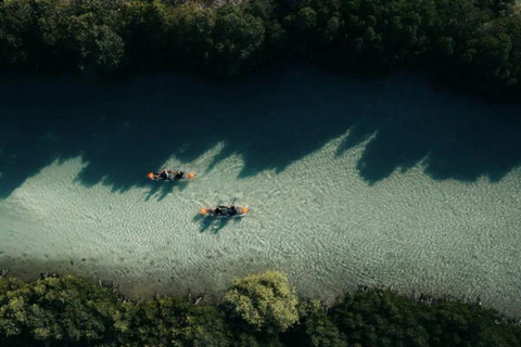 AlUla to Red Sea Islands Tour with Snorkeling and Kayaking