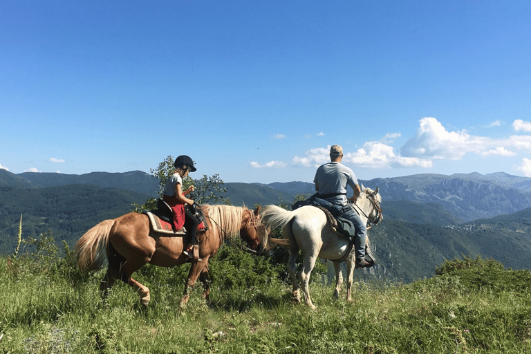 Skopje : Tetovo, Mavrovo, Galicnik et John Bigorski - Excursion d'une journéeSkopje : excursion d'une journée à Tetovo, Mavrovo, Galicnik et John Bigorski