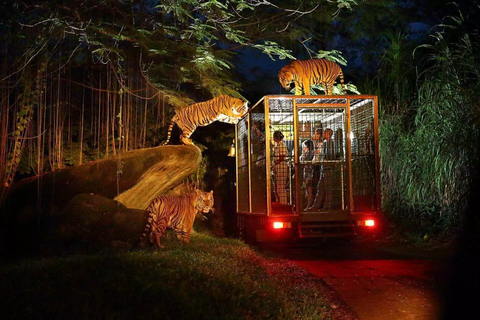 Bali Tour: Dinner with the Wildlife in the Zoo