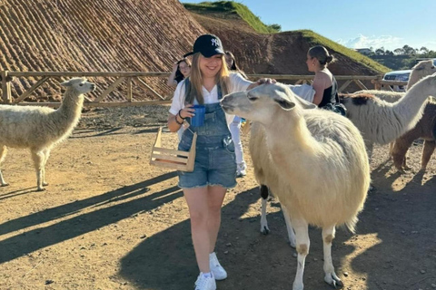 Tour a Guatapé: scalare la Roccia, ammirare il bellissimo villaggio e un buffet