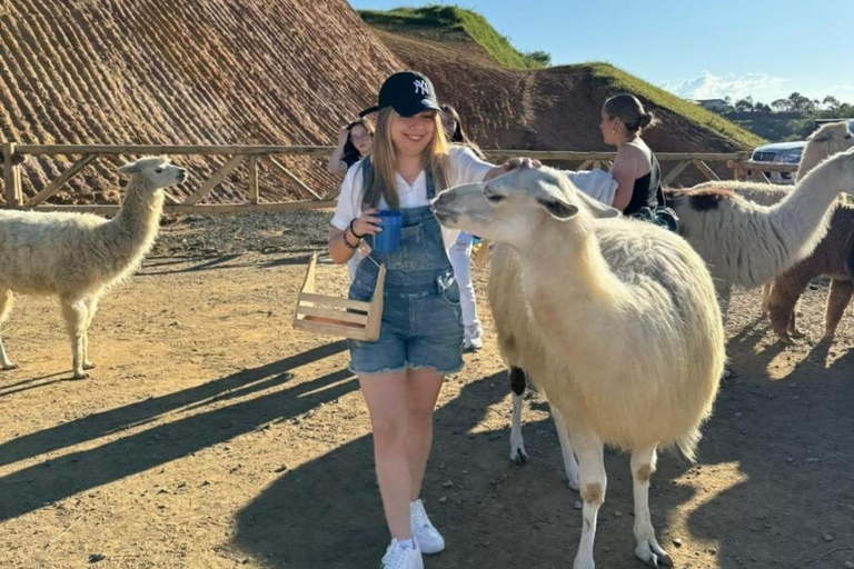 Tour a Guatapé: scalare la Roccia, ammirare il bellissimo villaggio e un buffet