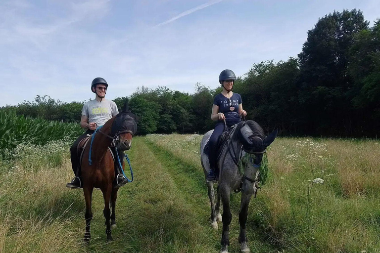 Varese: Horseback Riding through Woodlands and Meadows with Lunch in Fagnano Olona Lunch