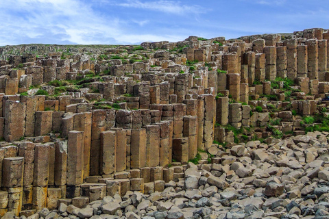 Giant's Causeway + Dark Hedges Day Tour