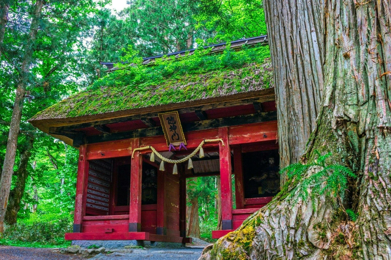 长野：雪猴与戸隠神社一日双景之旅从野泽温泉、妙高和上越地区接送。
