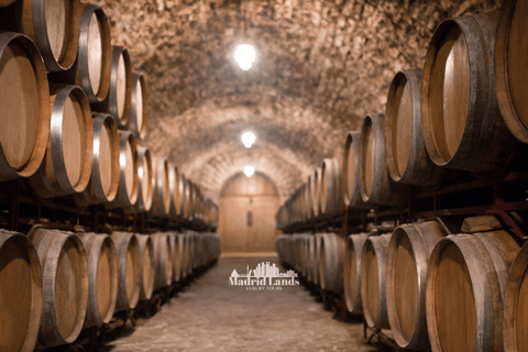 Madrid: Luxury Winnery & Toledo Tour