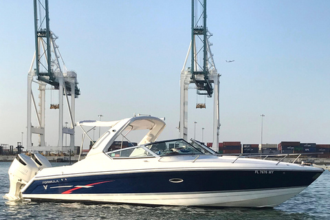 Miami: tour por la isla de los multimillonarios, el banco de arena y la isla de los mapaches.Miami: Isla de los multimillonarios, Sandbar y Raccoon Island Tour