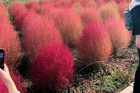 Da Tokyo/Yokohama: Escursione privata di un giorno al monte Fuji e ad Hakone