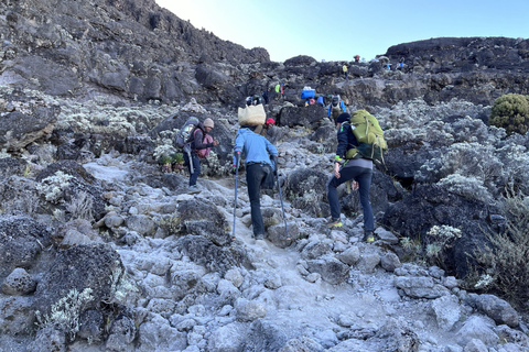 Moshi: scalata del Kilimangiaro in 6 giorni attraverso il percorso Rongai