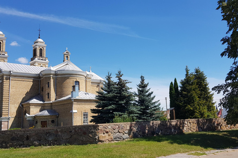 Vilnius: Tour guidato in bicicletta a Trakai con biglietti per il treno