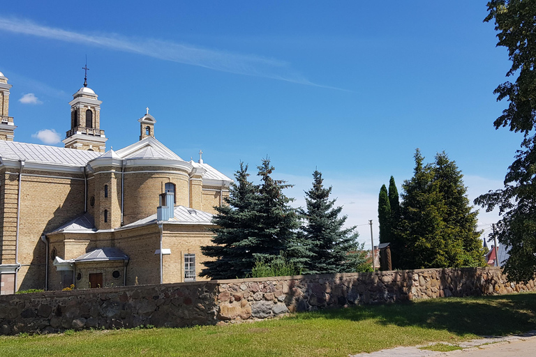 Vilnius: Tour guidato in bicicletta a Trakai con biglietti per il treno