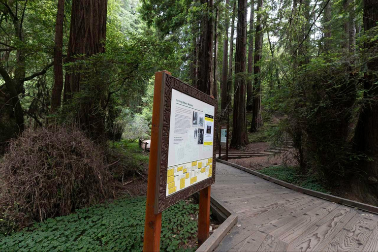 San Francisco: Muir Woods and Sausalito Entry Fee Included