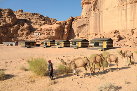Wadi Rum Desert: Two Days and Nights Bedouin World Trip