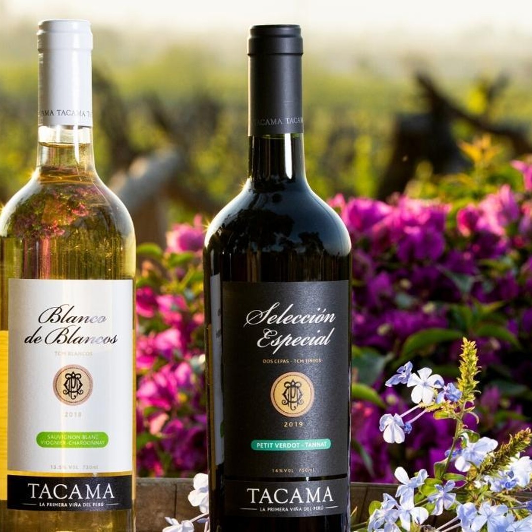 Ica: Pisco Route | Tacama, Arrabal, Bodega Lovera | | GetYourGuide, image size:1080x1080