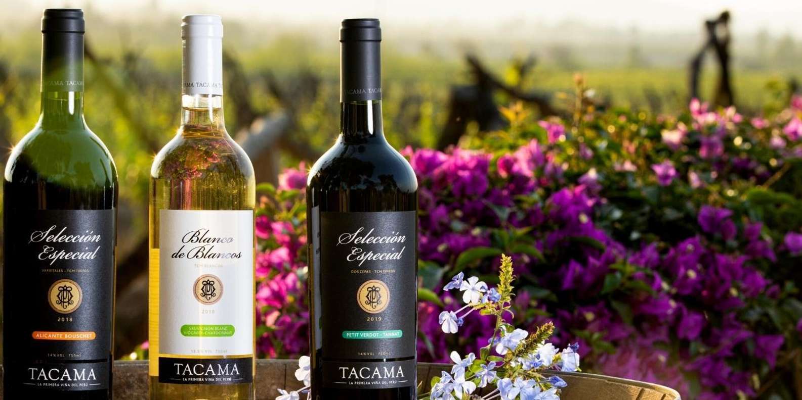 TACAMA VINO X 750 ML. AMORE DE ICA, image size:1585x792