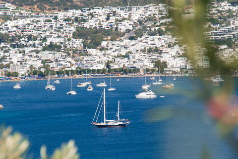 Halve dag Bodrum (Halicarnasos) Tour met de auto