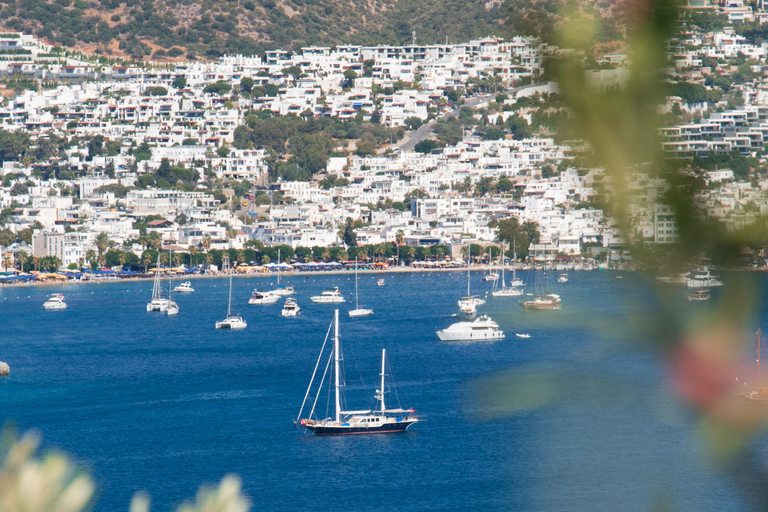 Halve dag Bodrum (Halicarnasos) Tour met de auto