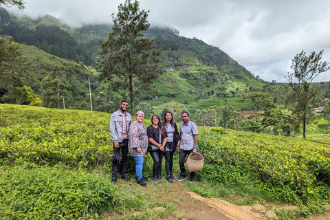 Tuk-Tuk Tales of Kandy: A Sensory City Tour with Local Guide A Sensory Kandy City Tour by Car Van with Local Guide