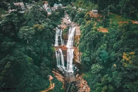 Au départ de Colombo : Circuit de 2 jours à Nuwara Eliya et Kandy