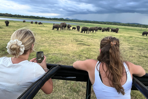 Parque Nacional de Minneriya : Safari en Jeep con entradas