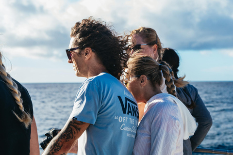 Honolulu, Oahu: Waikiki Whale Watching Cruise