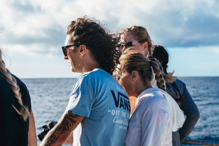 Honolulu, Oahu: Waikiki Whale Watching Cruise