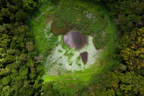 Volcano, Lake, Forest, Tea Plantation & 3 Course Lunch