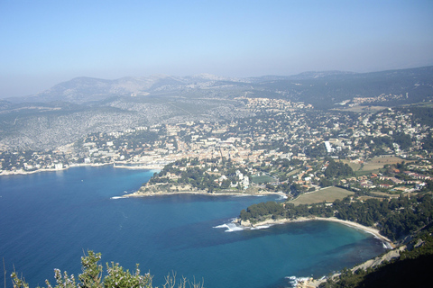 Desde Marsella: Degustación de vinos de Bandol y CassisDesde Marsella: tour de cata de vino en Bandol y Cassis