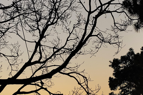 Cash free Private UNESCO Heritage Tour in Kathmandu