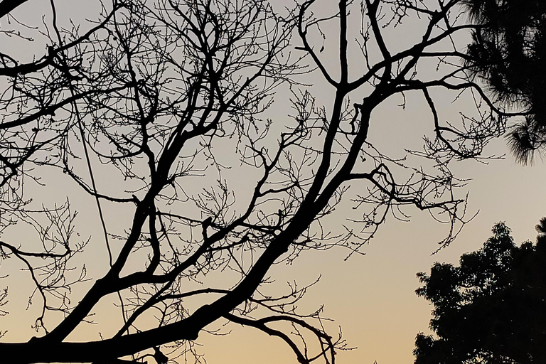 Cash free Private UNESCO Heritage Tour in Kathmandu