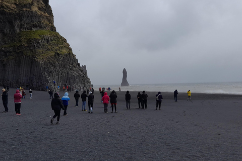 Reykjavik: Excursão particular à costa sul e à gruta de gelo de Katla