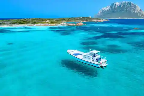 From Porto San Paolo: 4-hour boat tour to Tavolara