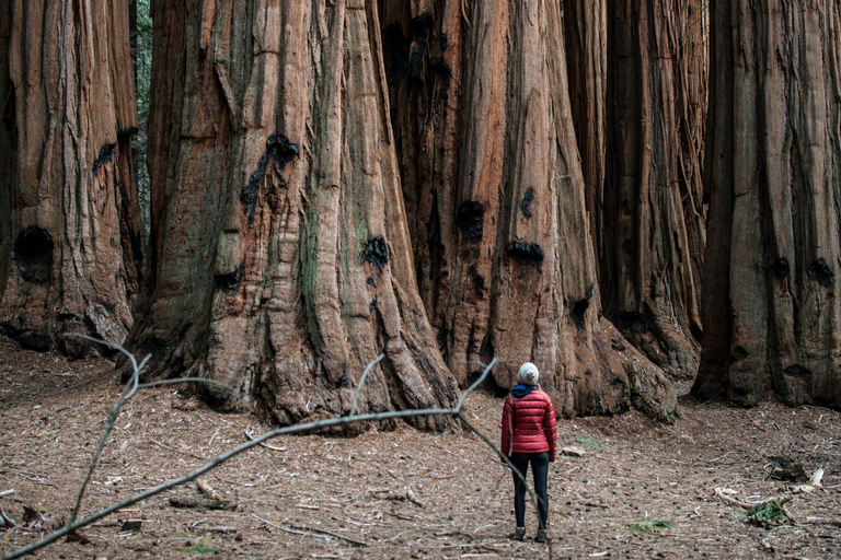 São Francisco: Excursão de 3 dias para mulheres com hospedagem em Yosemite