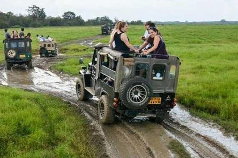 Wilpattu National Park Private Safari Jeep Tour Tour Starting Colombo/Negombo/Kandy Area