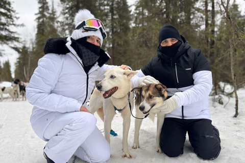 Levi: Meet Reindeer and Visit Husky Kennel
