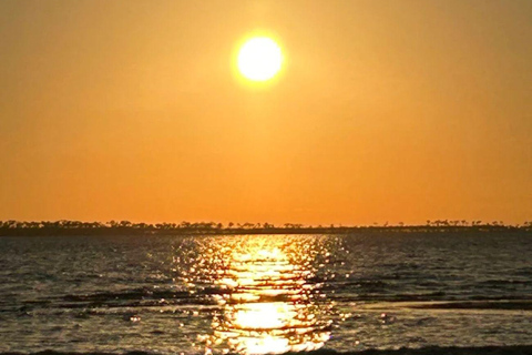 Ocean Springs: WingFoil Lesson