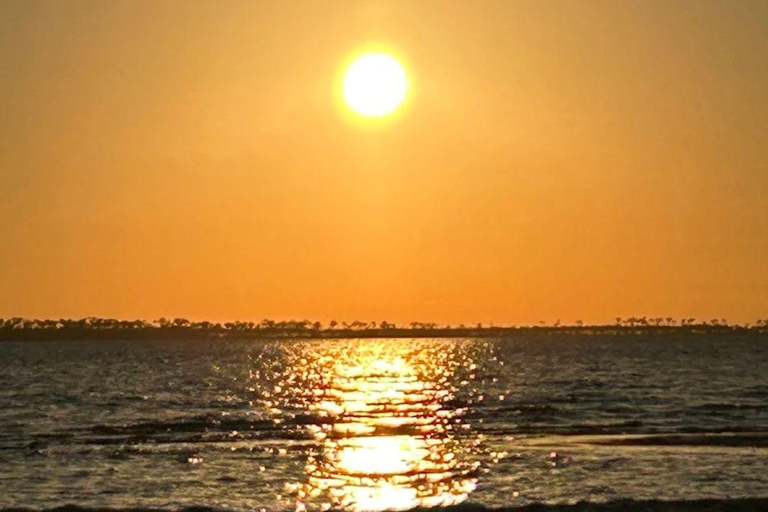 Ocean Springs: WingFoil Lesson