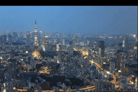 Tokyo: Private City Tour with Tokyo TeamLab Planets.