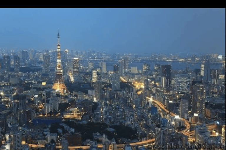 Tokyo: Private City Tour with Tokyo TeamLab Planets.