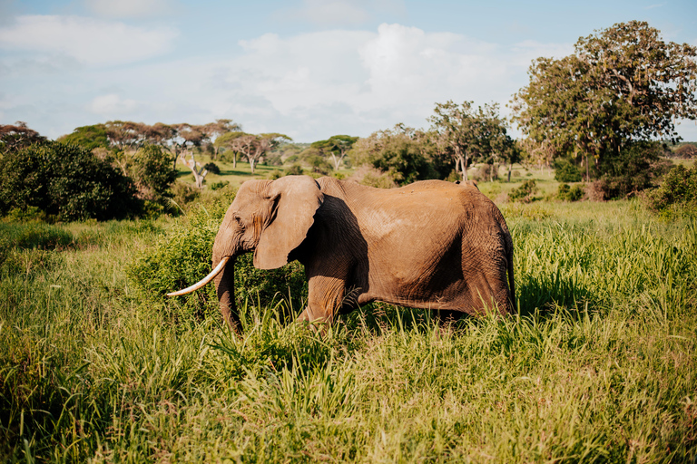 From Arusha: 6-Day Tanzania Magic Safari