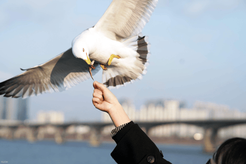 Eland Han River Cruise &amp; Ashley Marine BuffetStarlight Cruise(22:00) &amp; ASHLEY Weekday Dinner