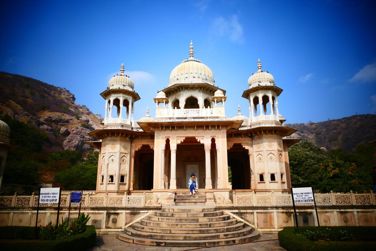 From Delhi : Jaipur Same Day Tour By Train or Private Car Tour from Delhi : 1st Class Train Coach, Car-Driver & Guide