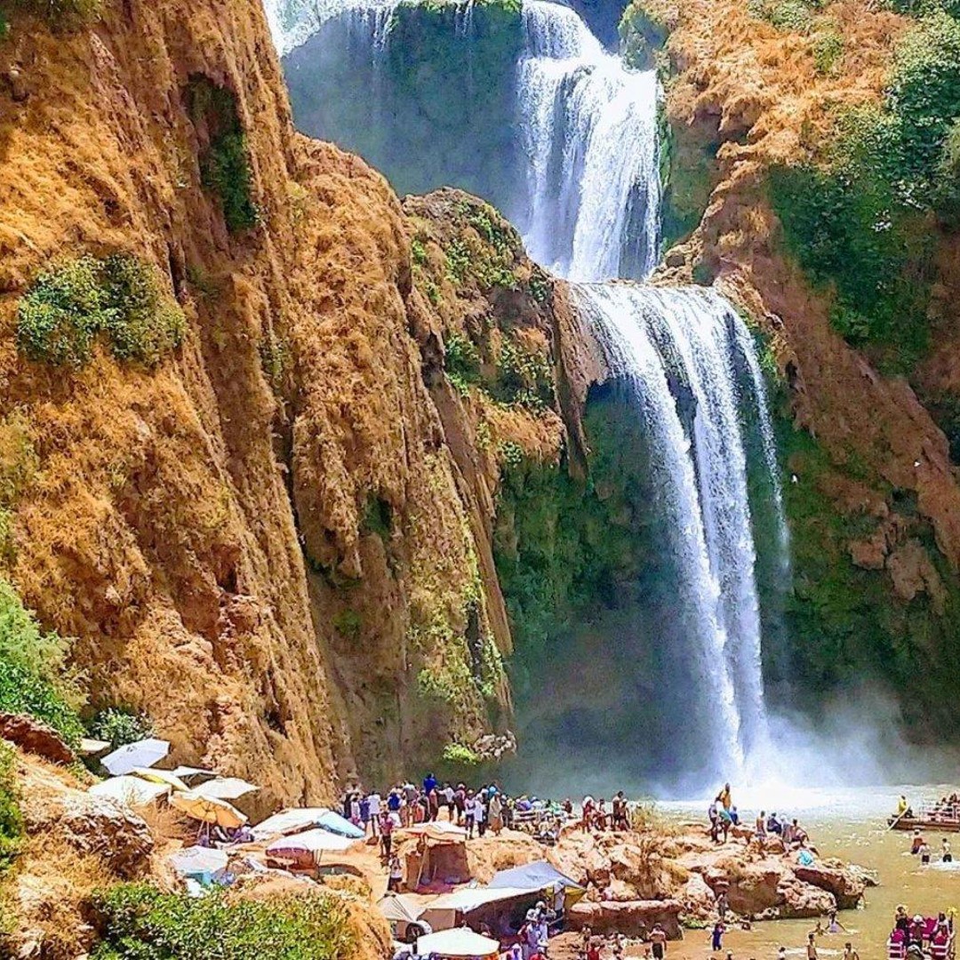 Galería de fotos para redes