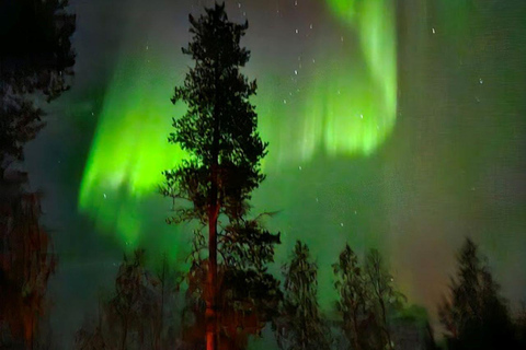 Lapponia: Escursione guidata nella natura incontaminata di Luosto