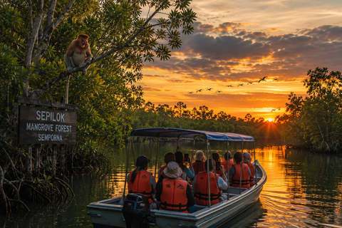 Semporna Mangrove Wildlife Cruise with FirefliesOptional ATV